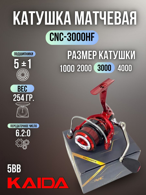 187392040299