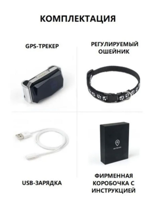 Без названия (11)