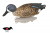 Набор уток FLAMBEAU Classic Blue Winged Teal 8016SUV (6)3