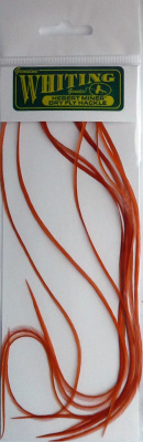 10_перьев_Orange