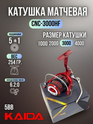 187392040299