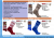 173.500 173.500